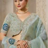 Cyan Organza Tissue Handwork One Minute Saree   25817 (1)