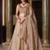 Gold Crush Embroidered Lehenga Choli