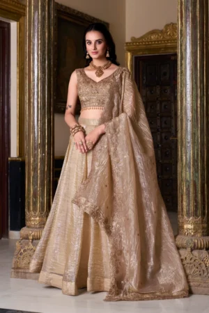 Gold Crush Embroidered Lehenga Choli