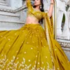 Olive Yellow Vichitra Silk Lehenga Choli (2)